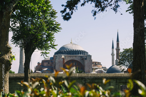 Plakat Stary meczet i ogród w Stambule