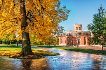 Wall Mural - Желтое платье осени Autumn Yellow Dress