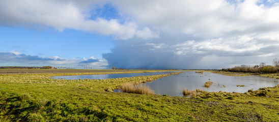 Sticker - Menacing clouds over a marshy nature reserve in Netherlands