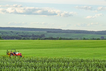 Small Red Farm Tractor On A Background Of Green Meadows. Agricultural Background With Copy Space.