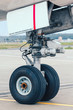 © miklyxa - front landing gear light aircraft