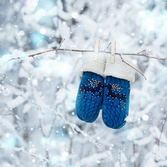 Kids mittens and gloves hanging on a branch in winter forest