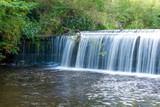 Fototapeta Kwiaty - Waterfall