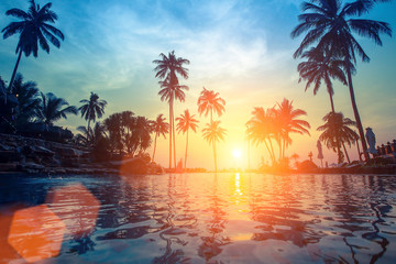 Wall Mural - Palm trees reflection in the water on a tropical seaside during sunset.