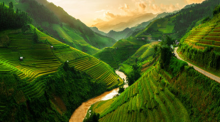 terraced rice field in mu cang chai, vietnam