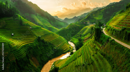 Fotomural Terraced rice field in Mu Cang Chai, Vietnam