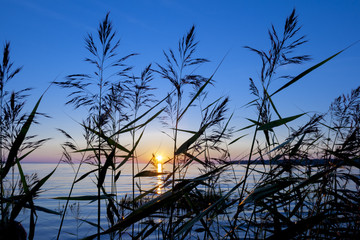 Wall Mural - sunset light