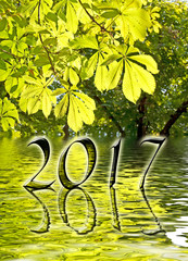Wall Mural - 2017, Green leaves and water reflections greeting card
