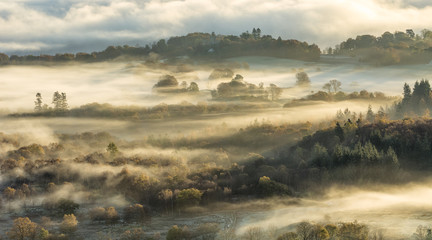 Wall Mural - autumn hilly landscape covered in lingering fog/mist with warm morning light.