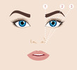 Woman face and eyebrow scheme. Trimming. How to shape your eyebrows at home. Makeup tips. Perfect brow shape for your face. Trendy mapping. 