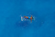 The boy in the water in the swimming pool or the sea on a mattress in the summer vacation. View from above.