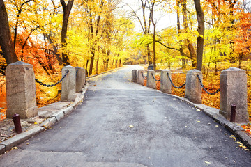 Wall Mural - winding road with columns in the park