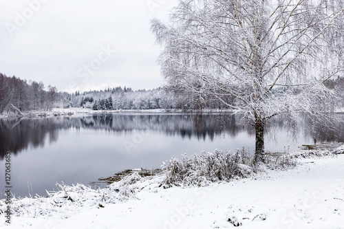 Cuadros en Lienzo Blanco paisaje de invierno lago en el bosque