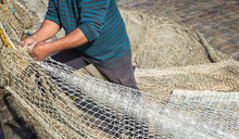 Commercial Fisherman Mending Nets In The Port, France