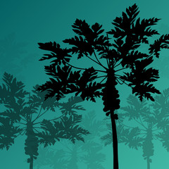 Wall Mural - Palm trees detailed graphic silhouettes abstract nature backgrou