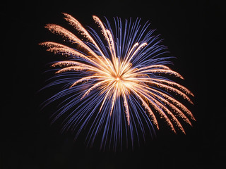 Isolated Firework of Sumida River Fireworks Festival in Japan