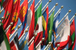 Flags in an official building