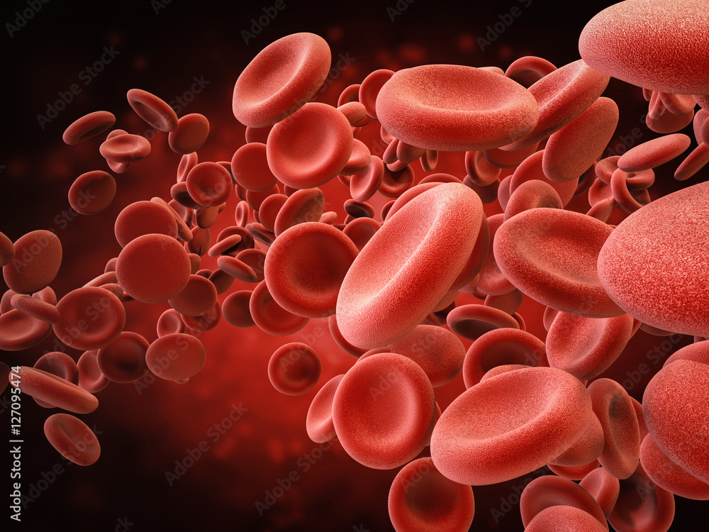 red blood cells in vein - obrazy, fototapety, plakaty 