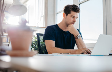 Wall Mural - Handsome young man using laptop