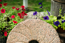 Millstone From The Windmill Surrounded By Flowers.