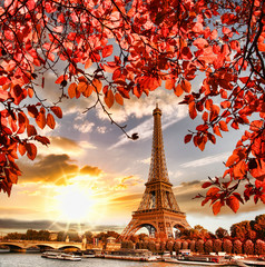  Wieża Eiffla z jesiennych liści w Paryżu, Francja
