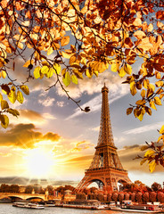  Eiffel Tower with autumn leaves in Paris, France