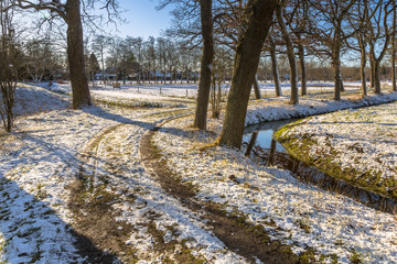 Poster - Winter tree lane with curved walking trail