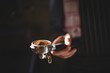 © Wavebreak Media - Mid section of waiter holding portafilter filled with ground cof