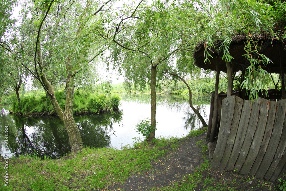 River landscape, closeup