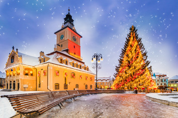 Wall Mural - Christmas market and decorations tree in the main center of Brasov town, in winter season, Romania