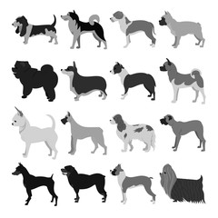 Wall Mural - Set of dog breeds