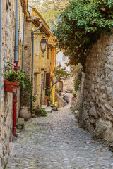 Narrow street with flowers in the old town Coaraze in France