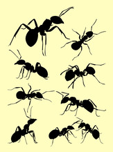 Ant Animal Silhouette. Good Use For Symbol, Logo, Web Icon, Mascot, Sign, Or Any Design You Want.