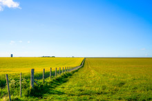A Fence Running Into The Horizon Across English Green Pastures, Wiltshire, England