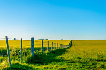 A Fence Running Through A Green Countryside Field On The Salisbury Plain In Summer