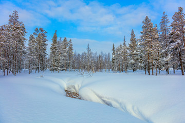 Wall Mural - beautiful winter forest landscape with big snow
