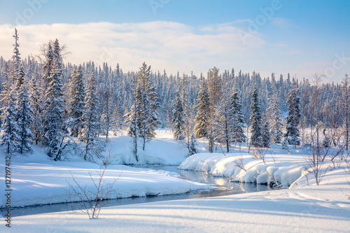 Beautiful Winter Forest Landscape Trees Covered Snow And Smal Buy This Stock Photo And Explore Similar Images At Adobe Stock Adobe Stock
