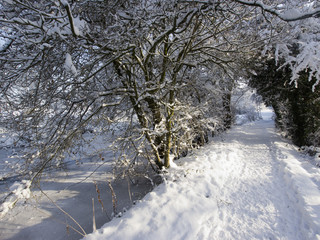 Sticker - winter landscape