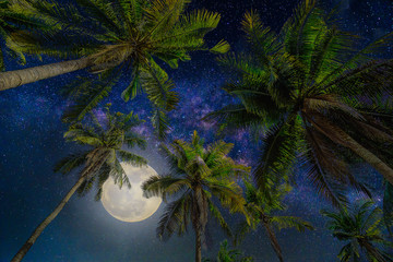 Wall Mural - silhouette coconut palm tree with the full moon and milky way galaxy on night sky background.