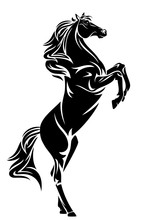 Standing Black Horse Vector Design