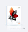 © Diamond Graphics - Brochure template layout collection, cover design annual report,