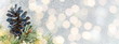 © creativefamily - Pinecones and fir tree on sparkling background.