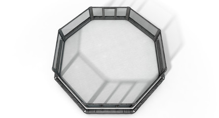 Wall Mural - MMA Cage