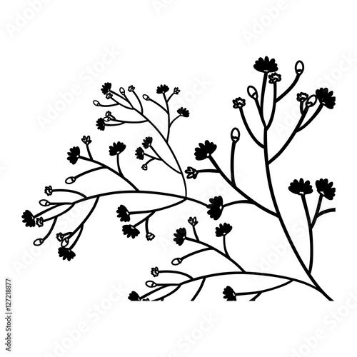 Flowers silhouette icon. Decoration rustic garden floral nature plant ...