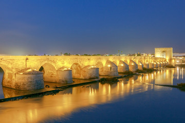 Wall Mural - Cordoba. Roman bridge.