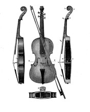 Violin Structure, Vintage Engraving
