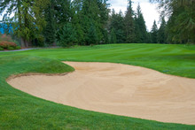 Sand Bunker On The Golf Course With Green Grass And Trees.