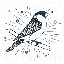 Hand Drawn Label With Textured Bullfinch Vector Illustration And "Enjoy The Winter" Lettering.