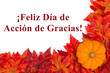 Happy Thanksgiving greeting in Spanish