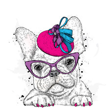Cute Puppy Wearing A Hat And Sunglasses. French Bulldog. Vector Illustration.